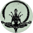 Noel Daniels profile picture